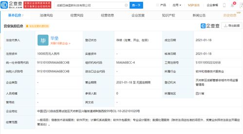 軟件外包服務(wù) 全球化時(shí)代的智能解決方案